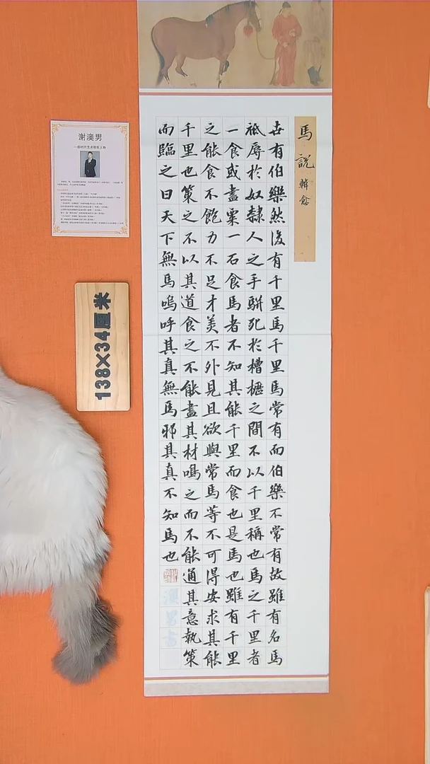 书法谢老师书法作品138*34马说
