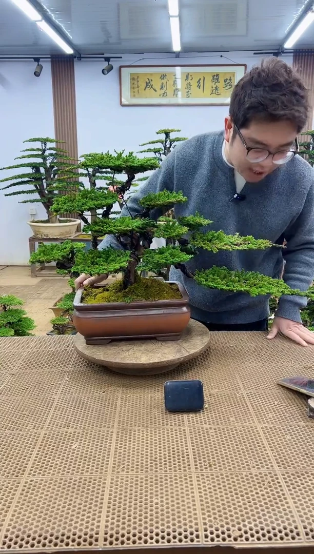 无花朵000000000000