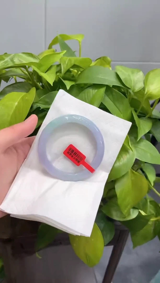 未镶嵌手镯翡翠小**学000059336