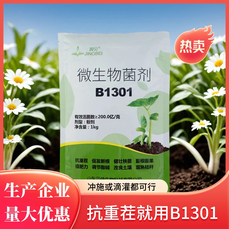 抗重茬B1301微生物菌剂根茎膨大冲施滴灌水溶肥育苗生根剂调节剂