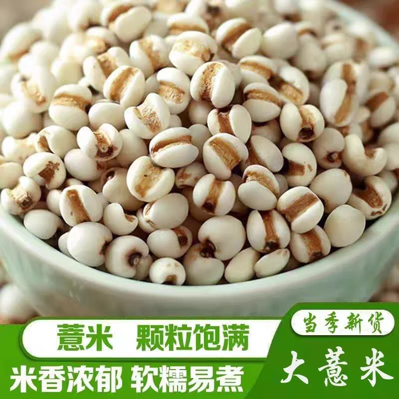 云南贵州新鲜去壳大薏仁米可煲粥泡水煮粥炖汤五谷杂粮