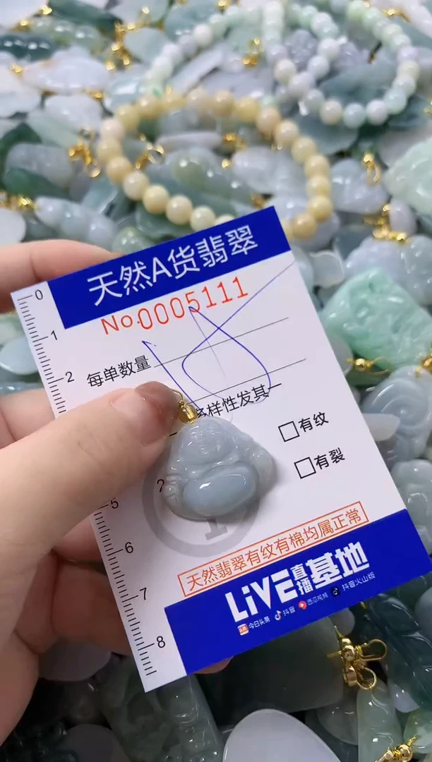 颈饰未镶嵌翡翠天然A货翡翠