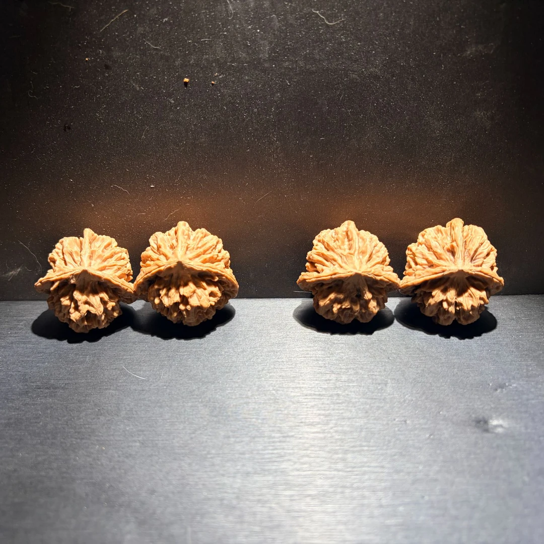 龙纹三棱核桃（多样性发货，发其一）约42-45mm约45g B251111-02