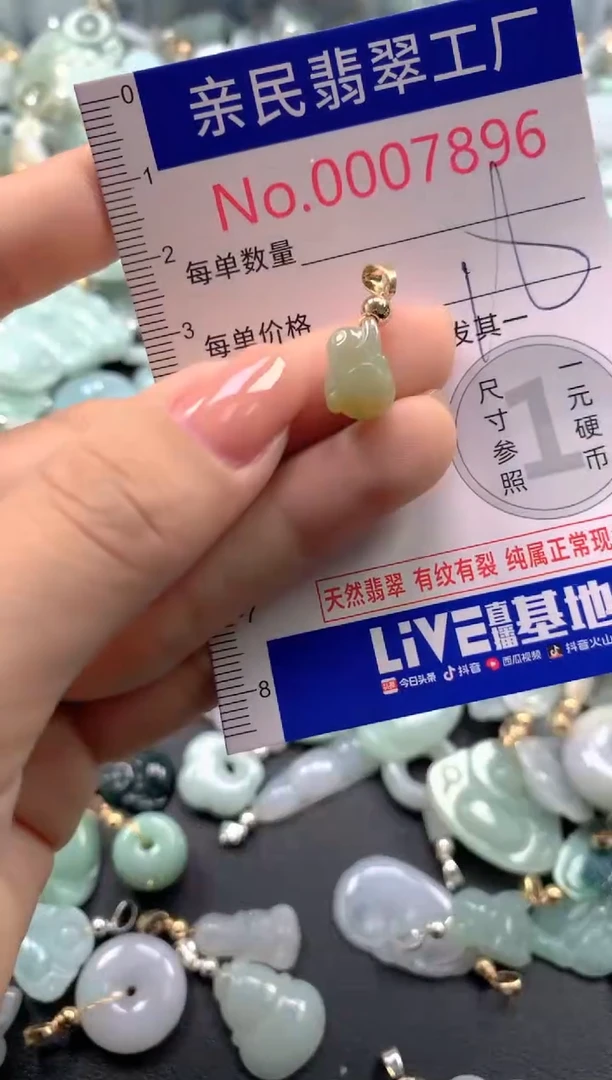 颈饰未镶嵌翡翠7896