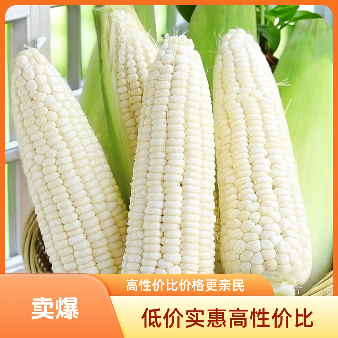 新鲜现摘白糯玉米香甜爆浆粒粒饱满带壳
