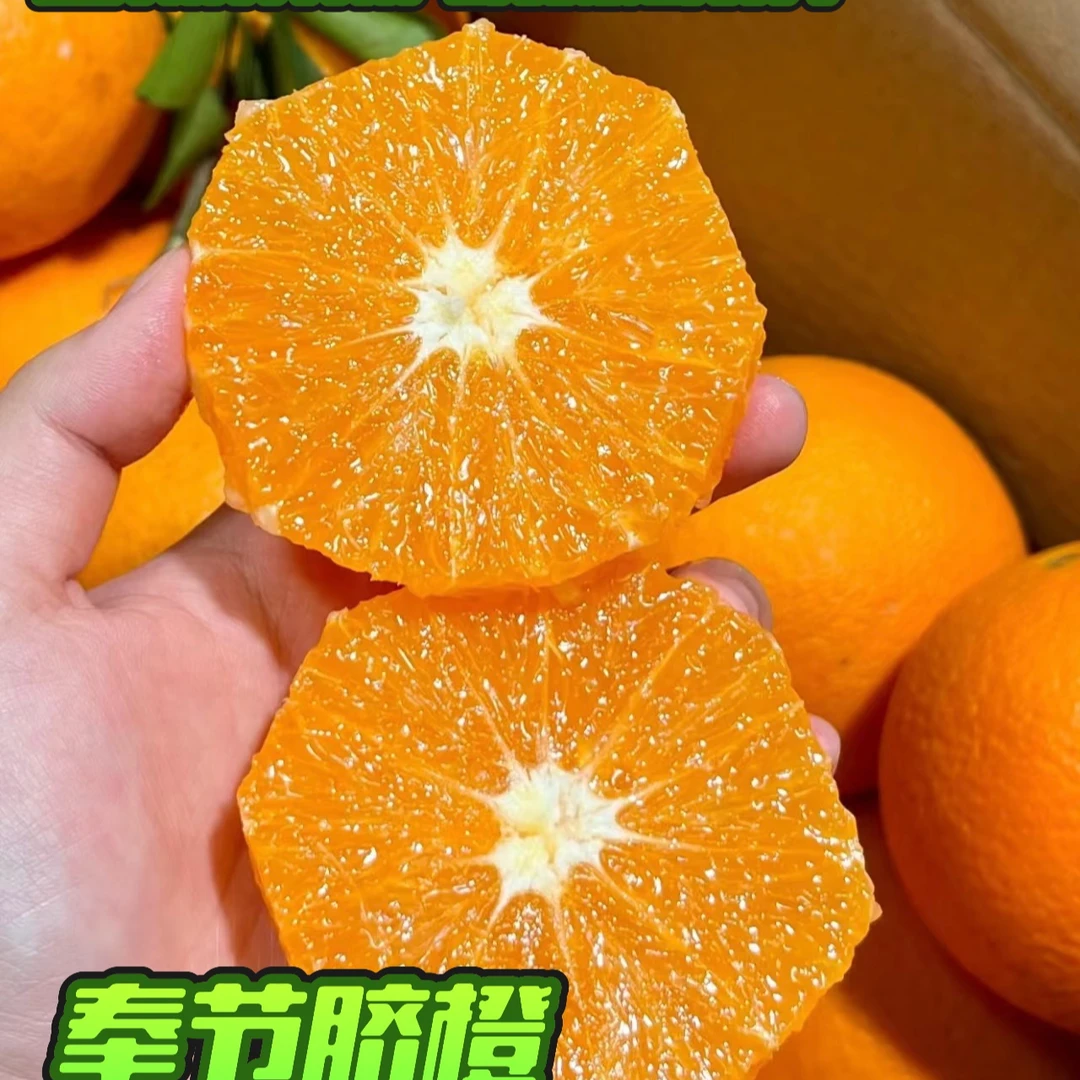 （大果）正宗奉节纽荷尔当季水果10/20斤包邮现摘现发带叶发货