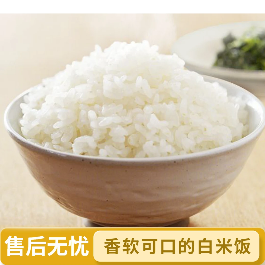 米饭1盒/300g