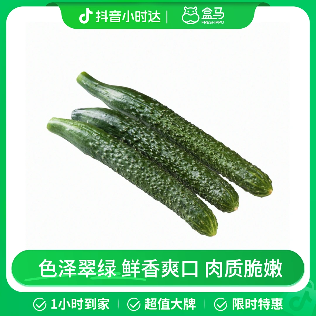 【高山鲜】 刺黄瓜 400g/份*2
