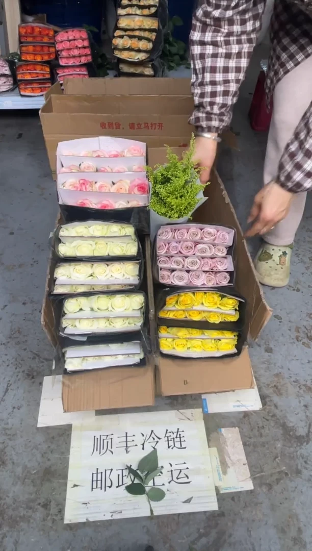 骄傲2扎+曼塔1扎+浪漫沙滩1扎+艾沙1扎+黄莺