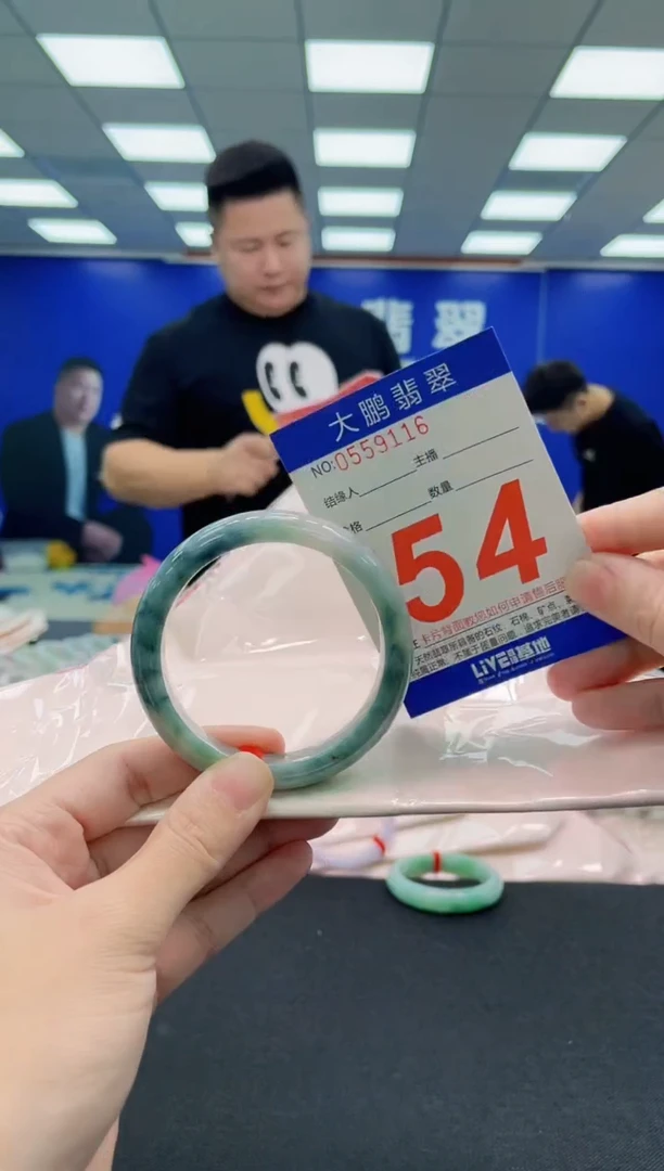 未镶嵌手镯翡翠AAAAAAAAA