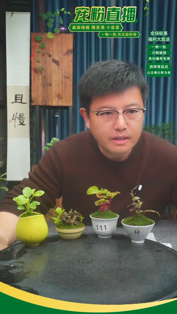 无花朵温***?苔藓微景观111号