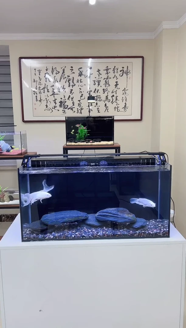 玻璃X*生80*40*40