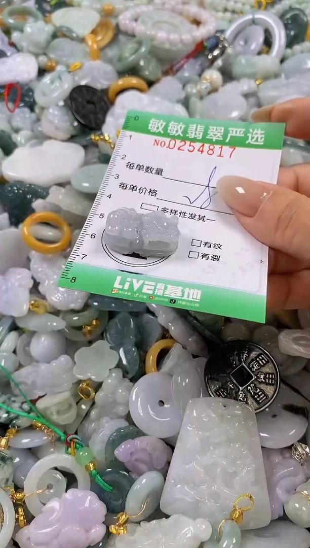 翡翠未镶嵌颈饰闪购0254817