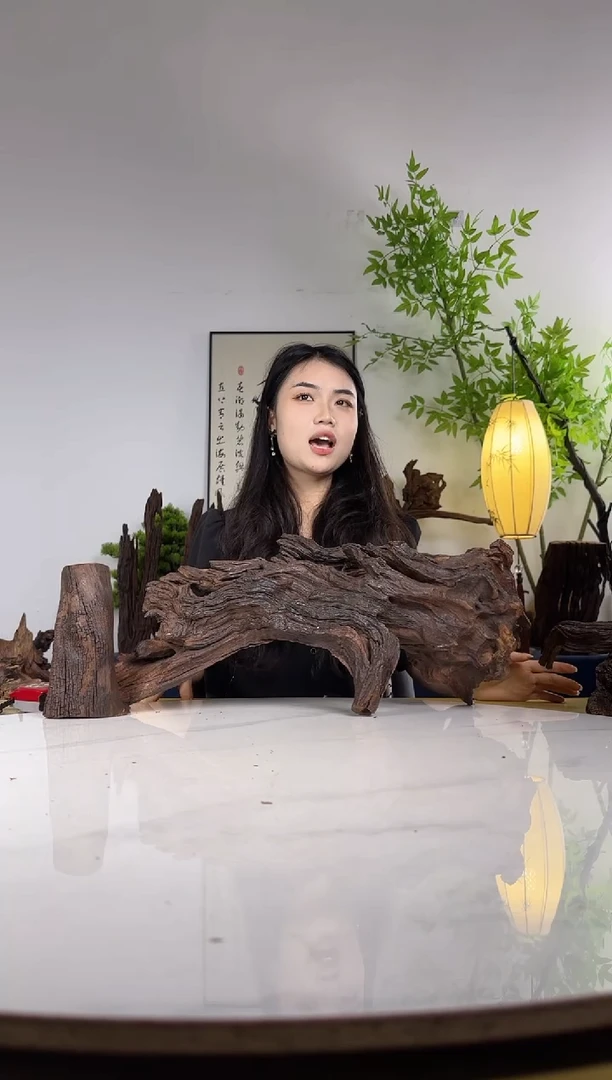 九*拍这个定向编号49