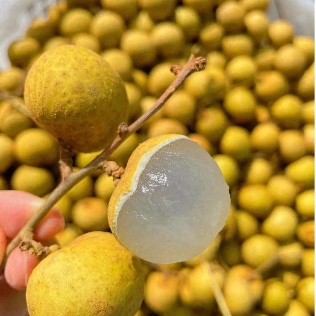 泰国进口AAA金标龙眼8斤左右