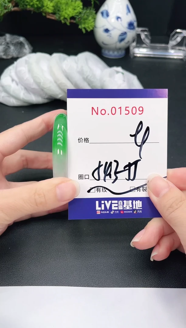 未镶嵌手镯翡翠1509