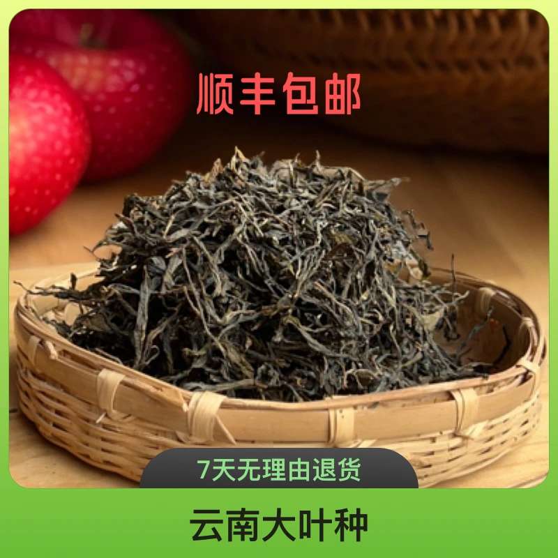 黑条子单株白莺山1000年单株散茶