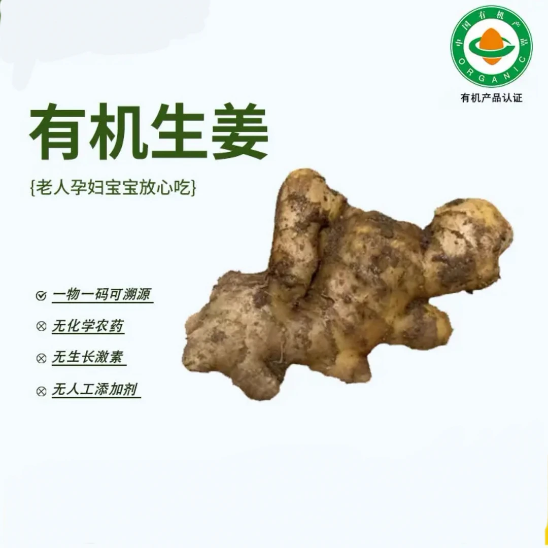 【有机生姜】新鲜采挖生姜可溯源非转基因无公害无农残吃好姜更健康
