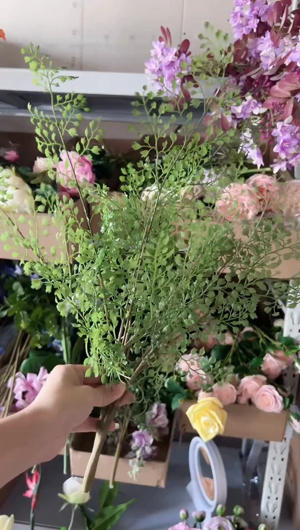 2枝黑骨芒