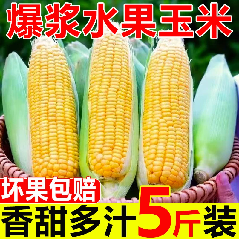 （集团补贴）五斤新鲜水果玉米甜脆清甜榨汁蒸煮甜嫩爆浆现摘