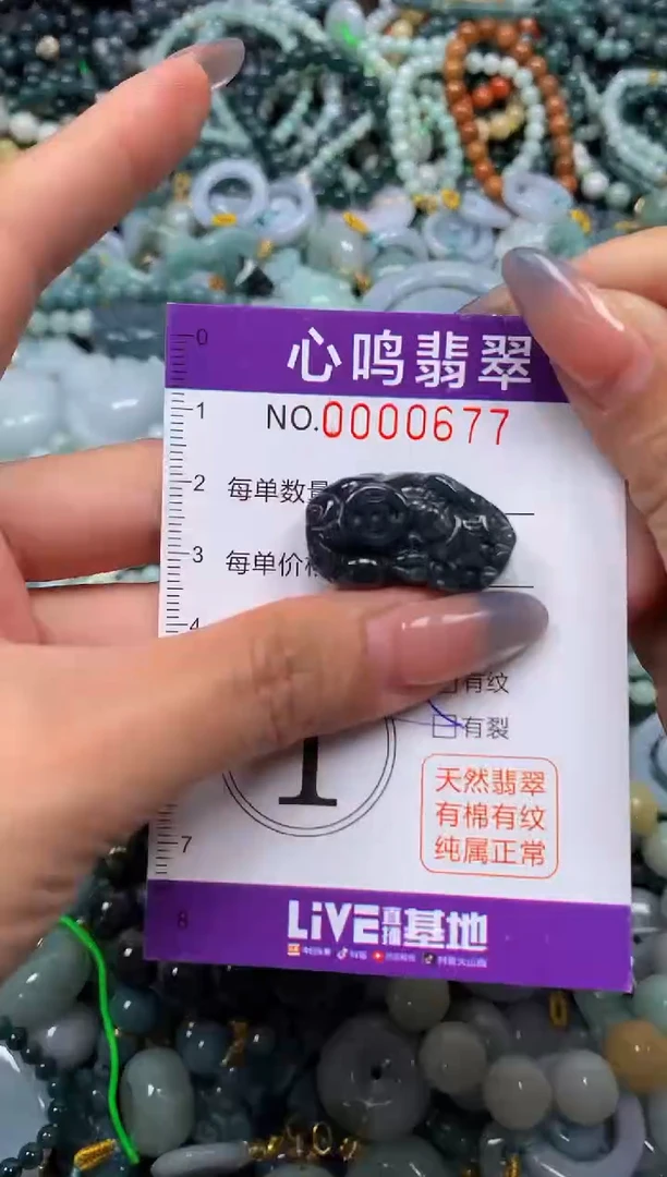 颈饰未镶嵌翡翠闪购00677