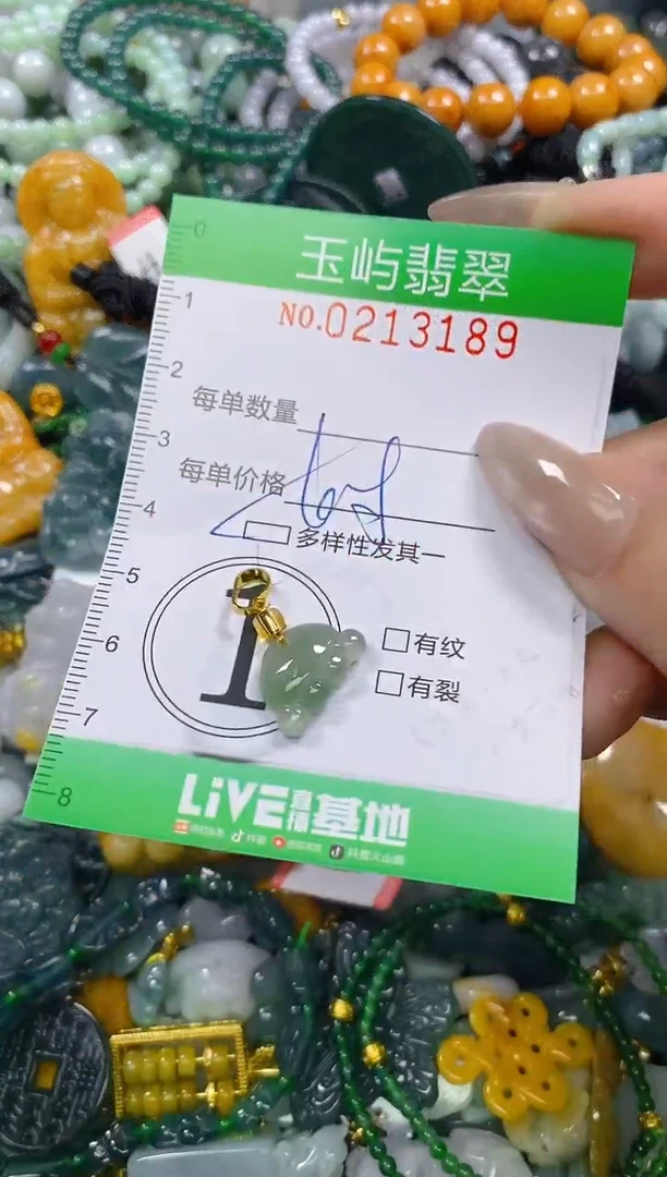 颈饰未镶嵌翡翠闪购0213189多样性发其一
