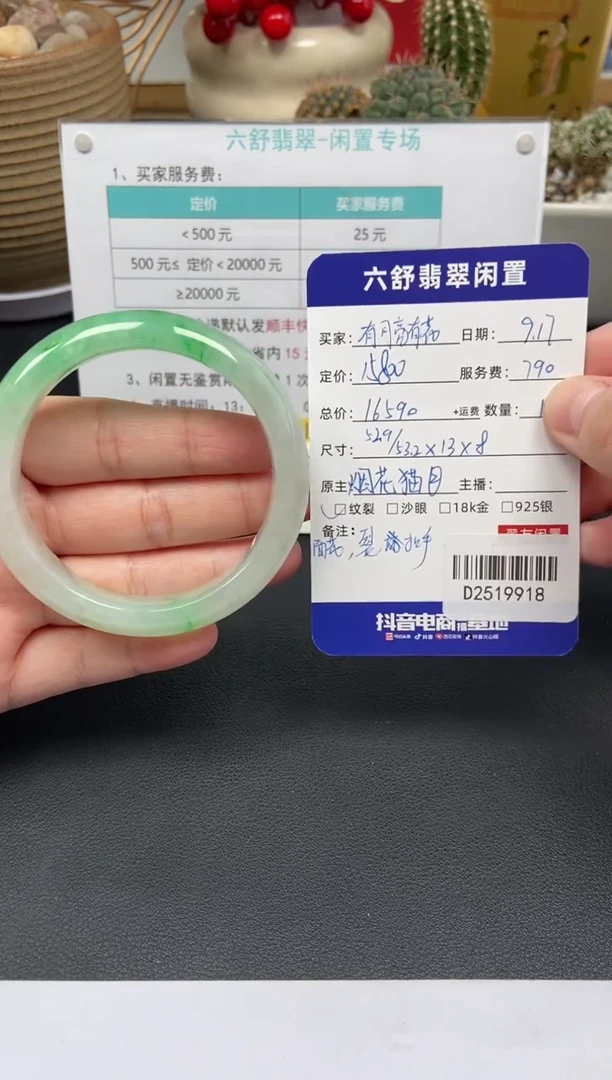 未镶嵌手镯翡翠有****?D2519918