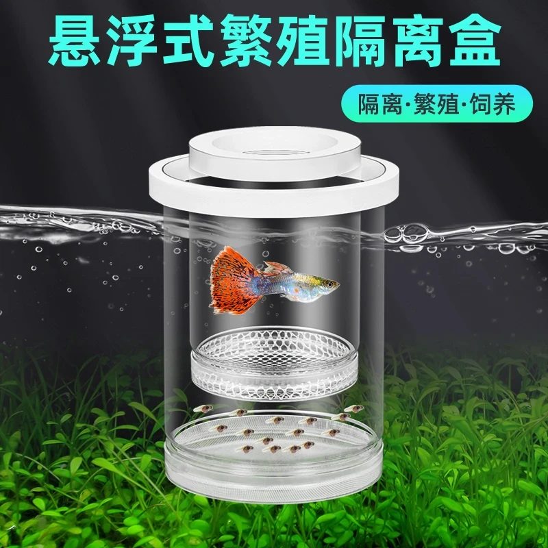 孔雀鱼繁殖隔离盒产卵桶母鱼孵化网产房小鱼幼鱼隔离透明产子产箱