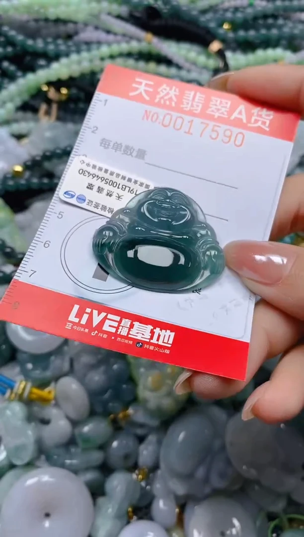 颈饰未镶嵌翡翠变**螂闪购0017590