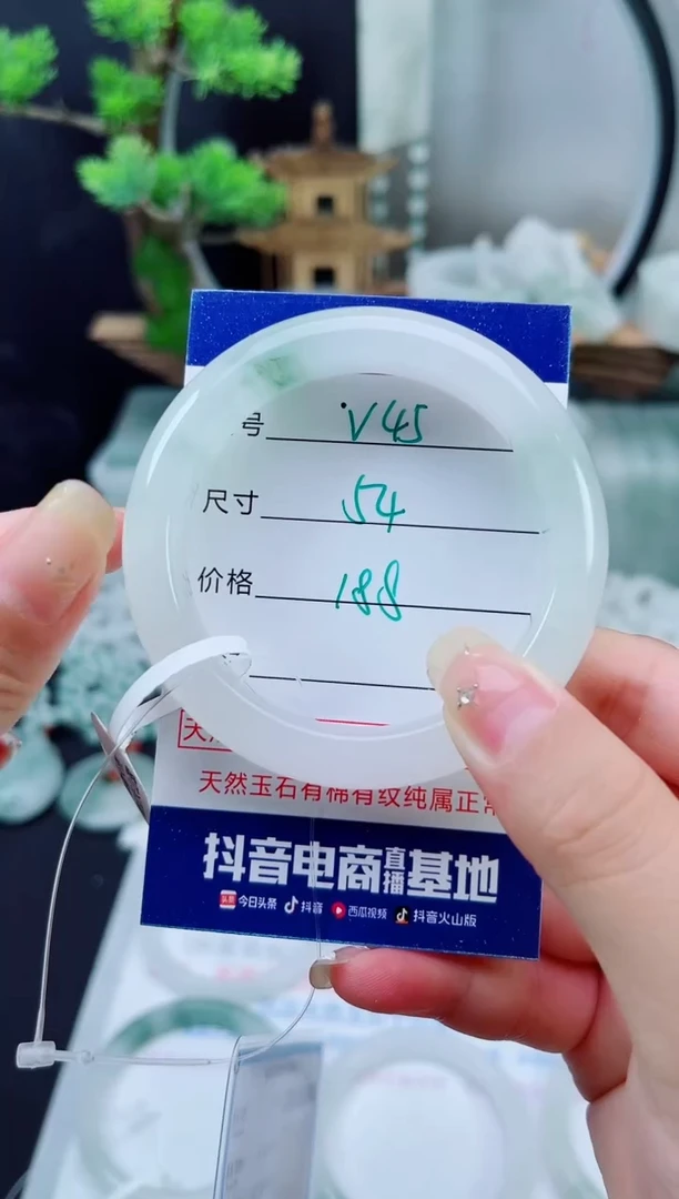 未镶嵌手镯石英质玉（天山翠）45