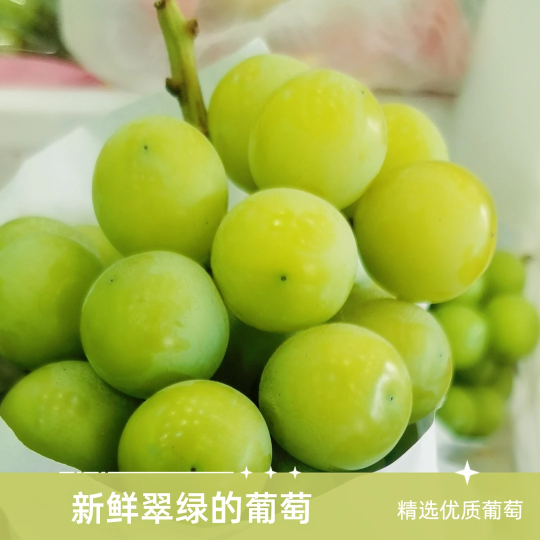 新鲜阳光玫瑰19.9元2斤左右～要洗请备注江苏省