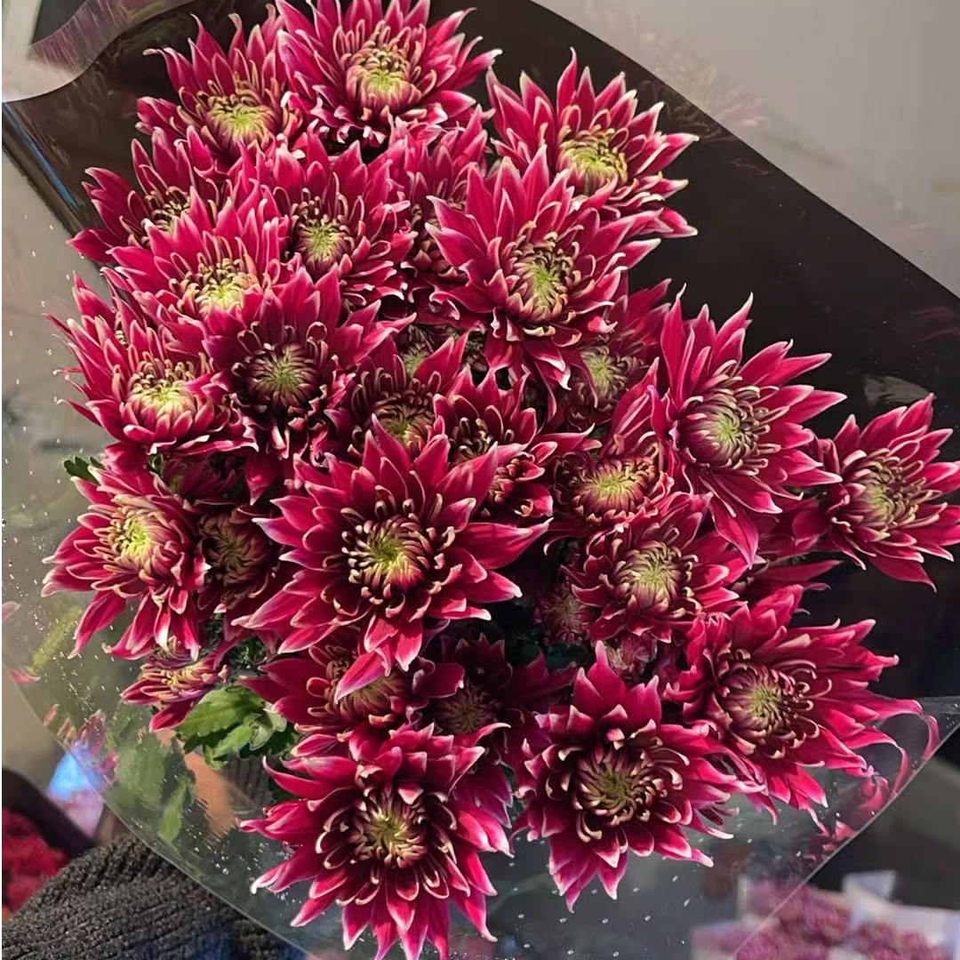 台风  新鲜小雏菊全店任意N单一个运费