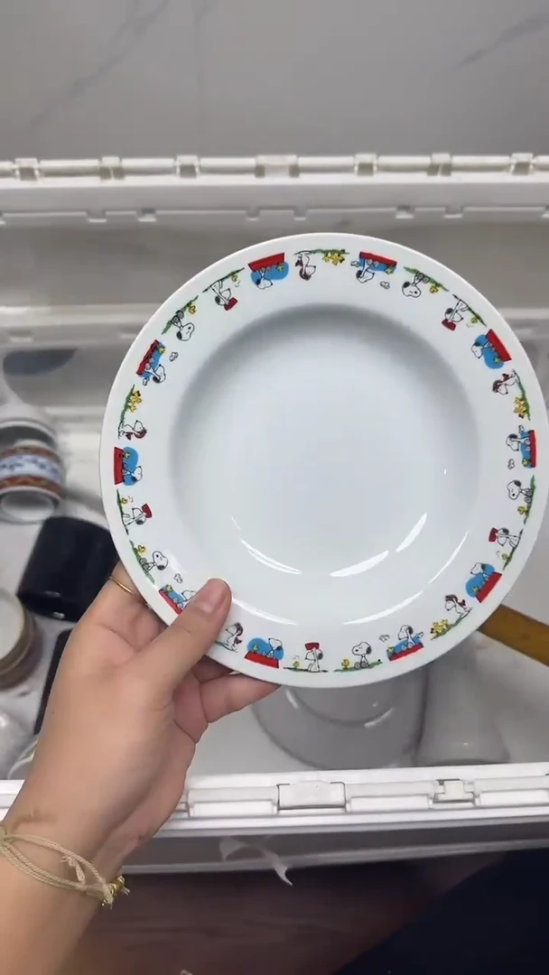 【闪购商品】691回流瓷器默认微瑕，18.8包邮
