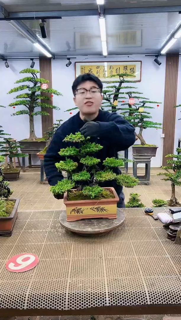 【闪购商品】000000000