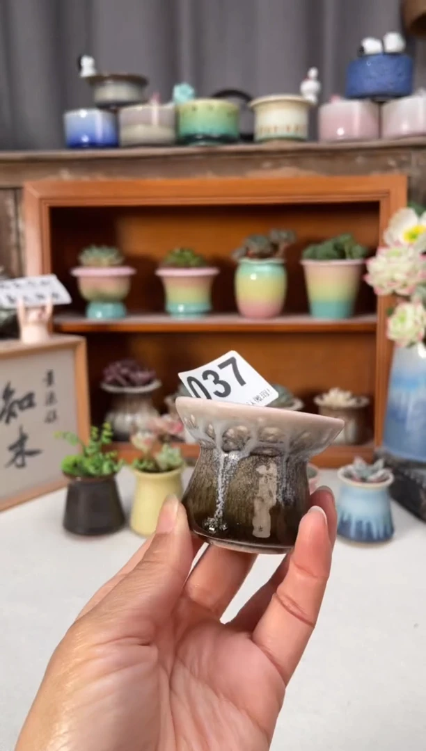 瓷片037小芳直播编号