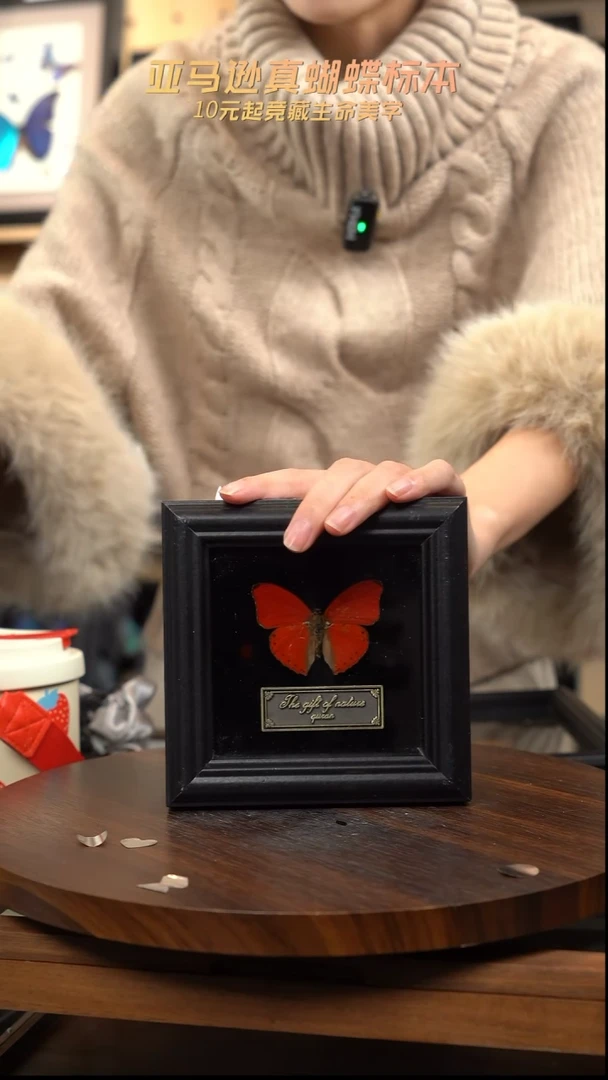 血漪蛱蝶4寸黑色方框