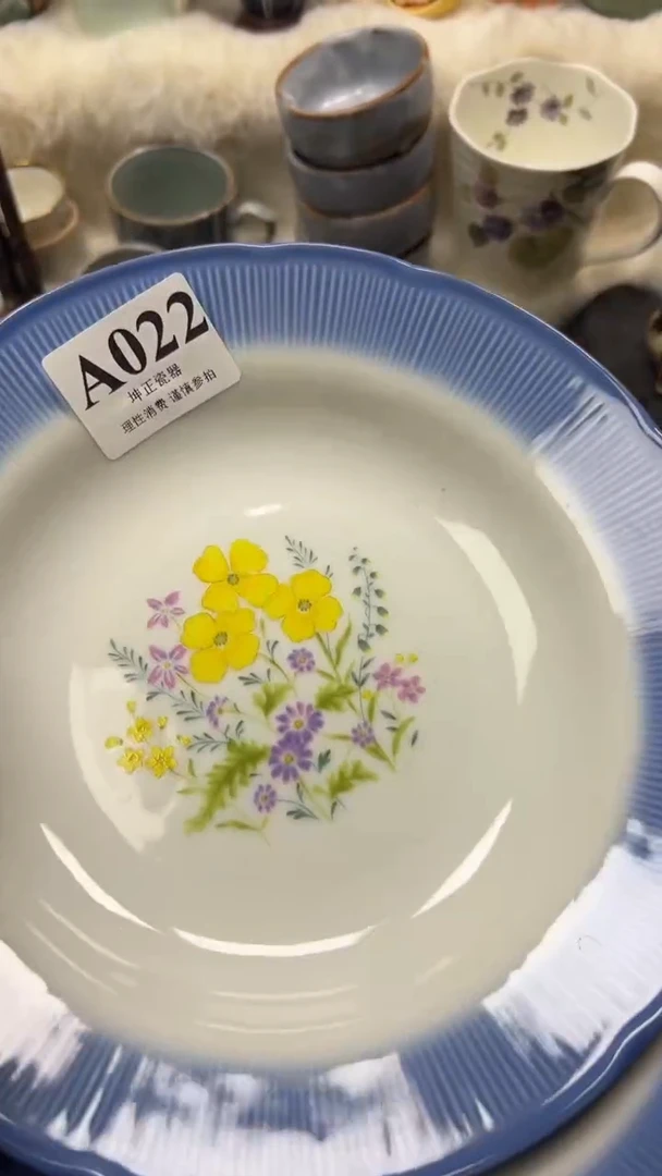 【闪购商品】瓷片          A022