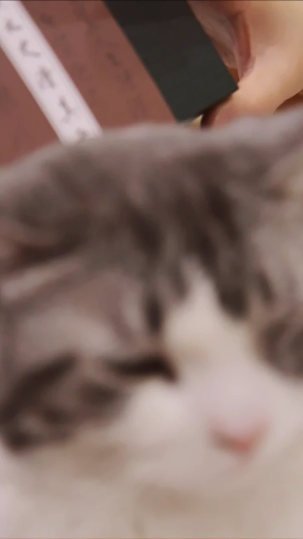 【闪购商品】黄太史清真香正装定制链接