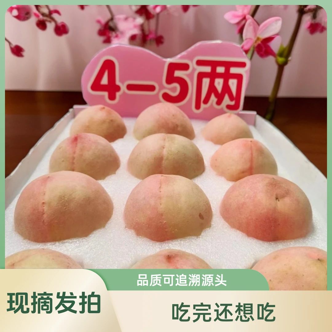 [云耕大堰]奉化水蜜桃5斤福利款现摘现发顺丰包邮浙江省