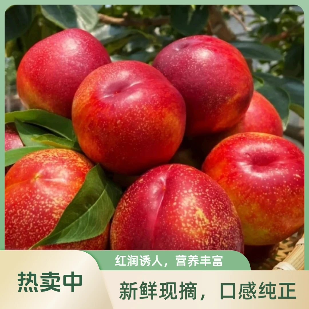 【黄心红油桃1/3斤】头茬红油桃枝头现摘 黄肉红皮脆甜爆汁北京市