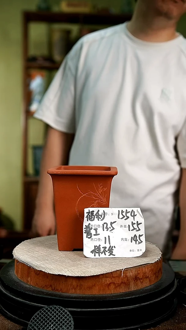 紫砂花盆花卉园艺1554