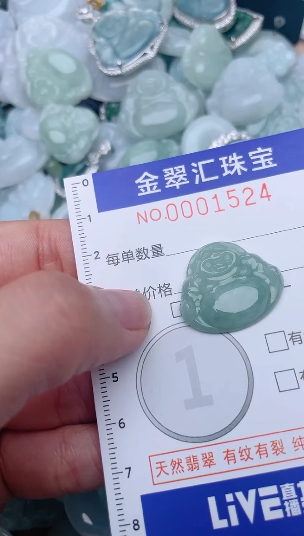 翡翠未镶嵌颈饰1524
