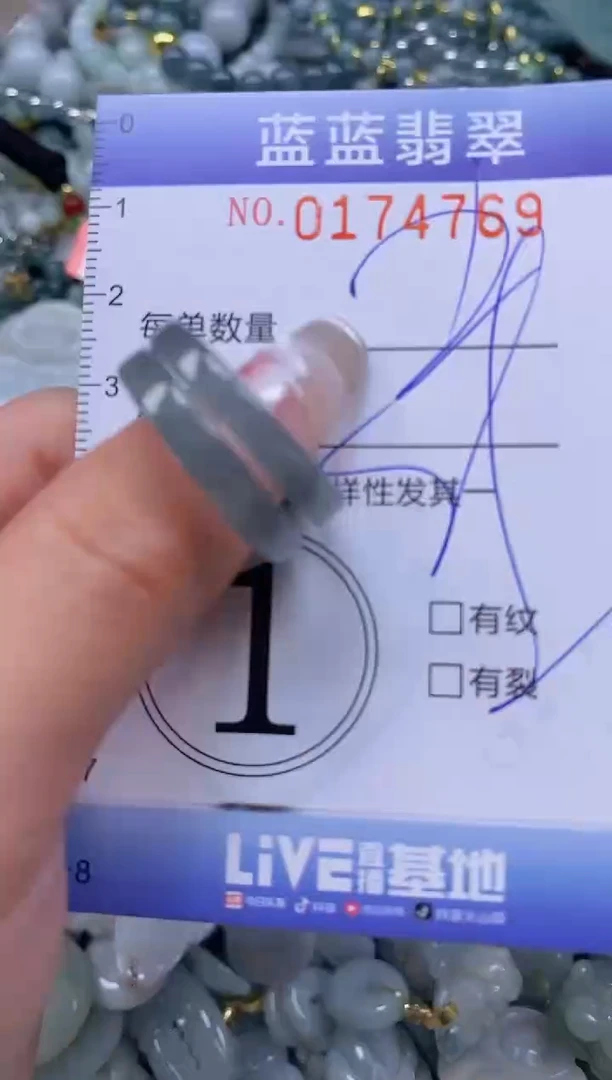 【闪购商品】翡翠颈饰未镶嵌闪购0174769