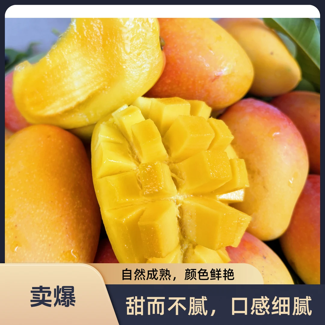 云南高山深处的  大金凤凰芒果  顺丰包邮  一键到家