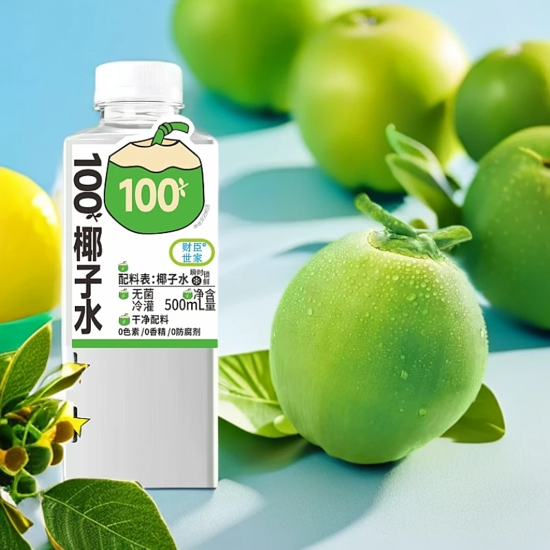 财臣世家椰子水500ml*15运动健身咖啡风味夏天解渴果汁植物饮品