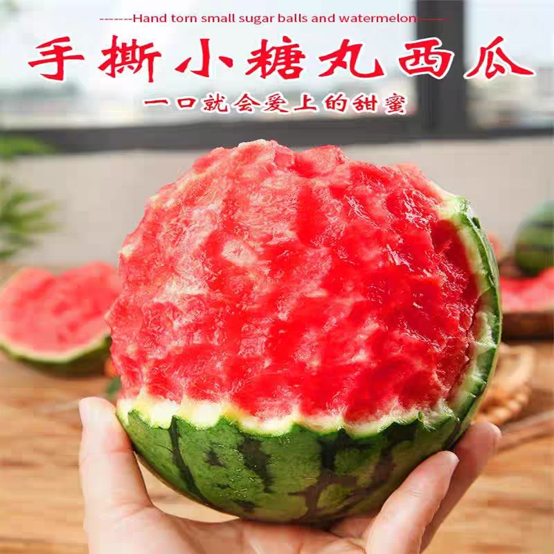 糖丸西瓜 约1800g 87564新疆维吾尔自治区