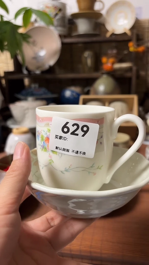 【闪购商品】瓷片喵喵家都是大漂亮