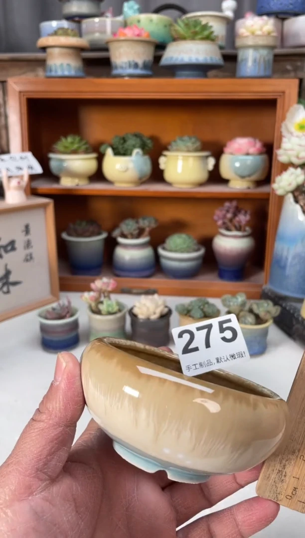 瓷片275小芳直播编号