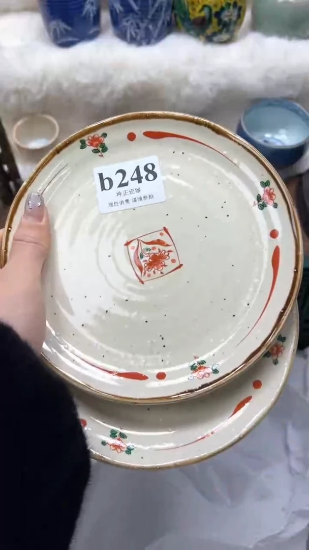 【闪购商品】瓷片          b248