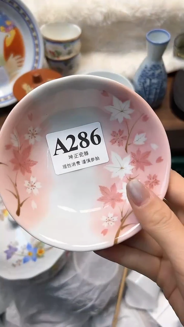 【闪购商品】瓷片          A286
